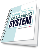 Winter Refresh Home Cleaning System